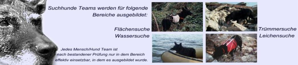 suchhunde.de